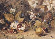 Elizabeth Byrne Still-life with horse chestnuts and insects (mk47) china oil painting reproduction